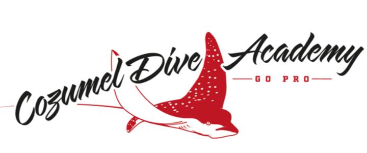 $100.00 Cozumel Dive Academy Gift Certificate